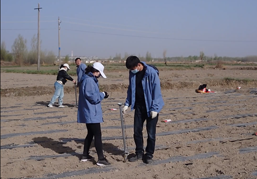 “三抓三促”行動進(jìn)行時 | 上下一心謀營銷　 全力以赴促業(yè)績——敦煌種業(yè)種子營銷分公司落實“三抓三促行動”紀(jì)實